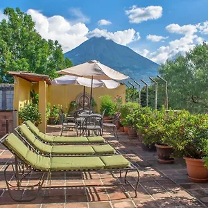 Camelias By Ahs 3* Antigua